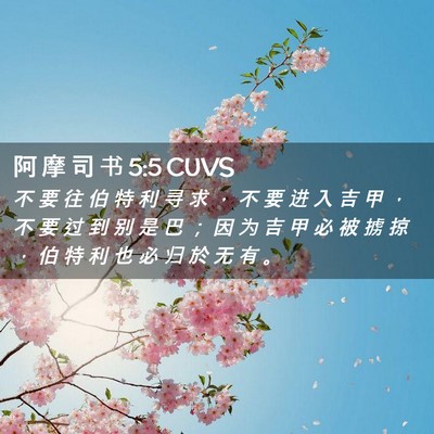 Picture 02 - 阿 摩 司 书 5:5 CUVS - 不 要 往 伯 特 利 寻 求 ， 不 要 进 - Bible Verse Picture