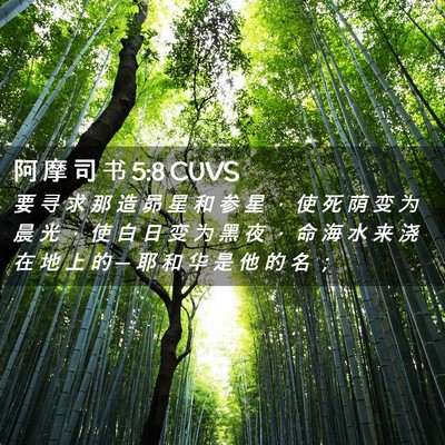 Picture 02 - 阿 摩 司 书 5:8 CUVS - 要 寻 求 那 造 昴 星 和 参 星 ， 使 - Bible Verse Picture