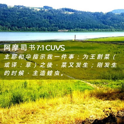 Picture 02 - 阿 摩 司 书 7:1 CUVS - 主 耶 和 华 指 示 我 一 件 事 ： 为 - Bible Verse Picture