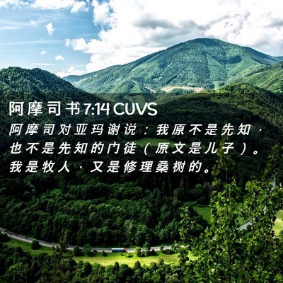 Picture 02 - 阿 摩 司 书 7:14 CUVS - 阿 摩 司 对 亚 玛 谢 说 ： 我 原 不 - Bible Verse Picture