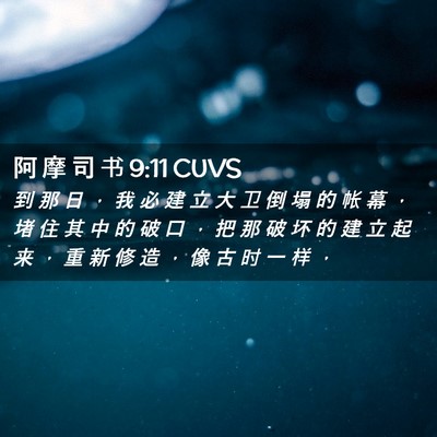 Picture 02 - 阿 摩 司 书 9:11 CUVS - 到 那 日 ， 我 必 建 立 大 卫 倒 塌 - Bible Verse Picture