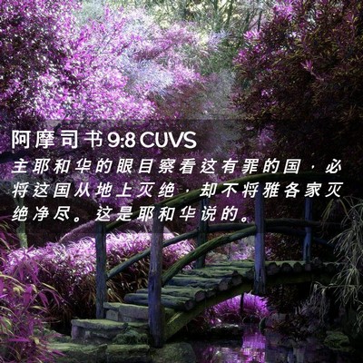 Picture 02 - 阿 摩 司 书 9:8 CUVS - 主 耶 和 华 的 眼 目 察 看 这 有 罪 - Bible Verse Picture