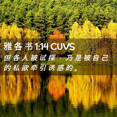 Picture 02 - 雅 各 书 1:14 CUVS - 但 各 人 被 试 探 ， 乃 是 被 自 己 - Bible Verse Picture