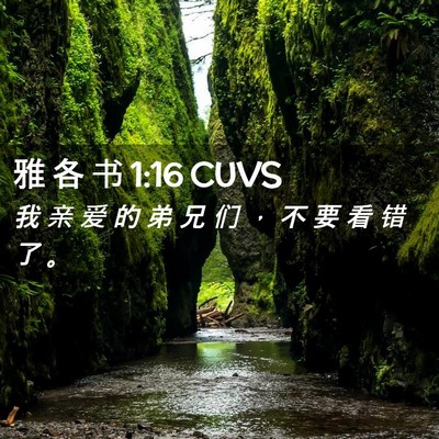 Picture 02 - 雅 各 书 1:16 CUVS - 我 亲 爱 的 弟 兄 们 ， 不 要 看 错 - Bible Verse Picture