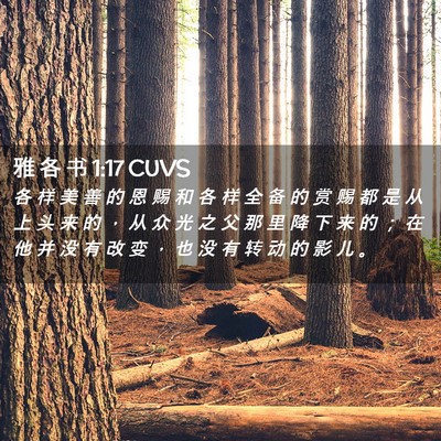 Picture 02 - 雅 各 书 1:17 CUVS - 各 样 美 善 的 恩 赐 和 各 样 全 备 - Bible Verse Picture
