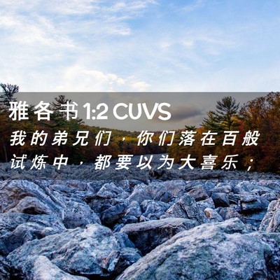 Picture 02 - 雅 各 书 1:2 CUVS - 我 的 弟 兄 们 ， 你 们 落 在 百 般 - Bible Verse Picture