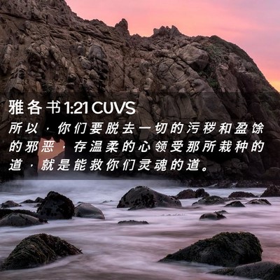 Picture 02 - 雅 各 书 1:21 CUVS - 所 以 ， 你 们 要 脱 去 一 切 的 污 - Bible Verse Picture