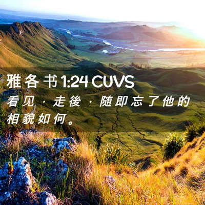 Picture 02 - 雅 各 书 1:24 CUVS - 看 见 ， 走 後 ， 随 即 忘 了 他 的 - Bible Verse Picture