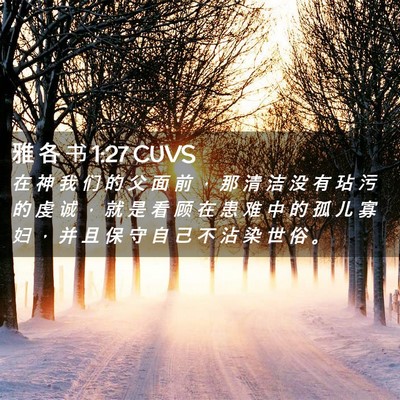 Picture 02 - 雅 各 书 1:27 CUVS - 在 神 我 们 的 父 面 前 ， 那 清 洁 - Bible Verse Picture