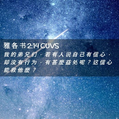 Picture 02 - 雅 各 书 2:14 CUVS - 我 的 弟 兄 们 ， 若 有 人 说 自 己 - Bible Verse Picture