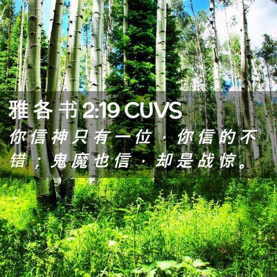 Picture 02 - 雅 各 书 2:19 CUVS - 你 信 神 只 有 一 位 ， 你 信 的 不 - Bible Verse Picture