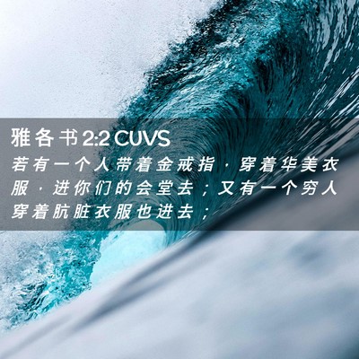 Picture 02 - 雅 各 书 2:2 CUVS - 若 有 一 个 人 带 着 金 戒 指 ， 穿 - Bible Verse Picture