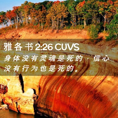 Picture 02 - 雅 各 书 2:26 CUVS - 身 体 没 有 灵 魂 是 死 的 ， 信 心 - Bible Verse Picture