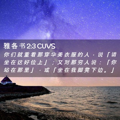 Picture 02 - 雅 各 书 2:3 CUVS - 你 们 就 重 看 那 穿 华 美 衣 服 的 - Bible Verse Picture