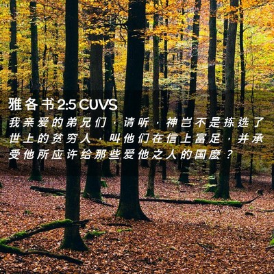 Picture 02 - 雅 各 书 2:5 CUVS - 我 亲 爱 的 弟 兄 们 ， 请 听 ， 神 - Bible Verse Picture
