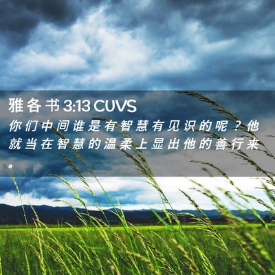 Picture 02 - 雅 各 书 3:13 CUVS - 你 们 中 间 谁 是 有 智 慧 有 见 识 - Bible Verse Picture