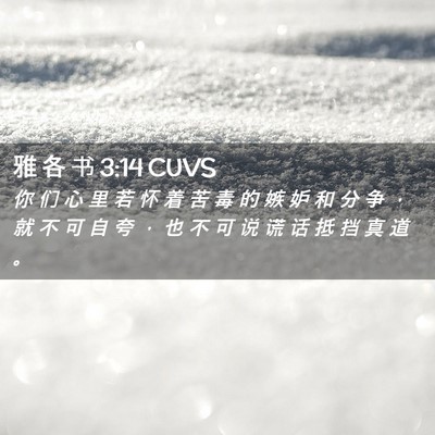 Picture 02 - 雅 各 书 3:14 CUVS - 你 们 心 里 若 怀 着 苦 毒 的 嫉 妒 - Bible Verse Picture