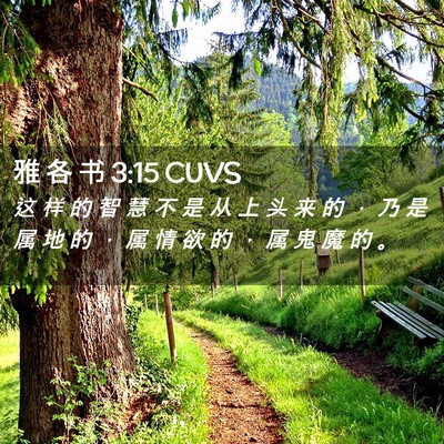 Picture 02 - 雅 各 书 3:15 CUVS - 这 样 的 智 慧 不 是 从 上 头 来 的 - Bible Verse Picture