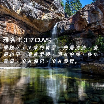 Picture 02 - 雅 各 书 3:17 CUVS - 惟 独 从 上 头 来 的 智 慧 ， 先 是 - Bible Verse Picture