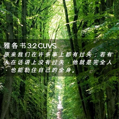 Picture 02 - 雅 各 书 3:2 CUVS - 原 来 我 们 在 许 多 事 上 都 有 过 - Bible Verse Picture