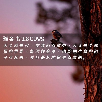 Picture 02 - 雅 各 书 3:6 CUVS - 舌 头 就 是 火 ， 在 我 们 百 体 中 - Bible Verse Picture