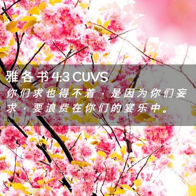 Picture 02 - 雅 各 书 4:3 CUVS - 你 们 求 也 得 不 着 ， 是 因 为 你 - Bible Verse Picture