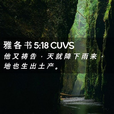 Picture 02 - 雅 各 书 5:18 CUVS - 他 又 祷 告 ， 天 就 降 下 雨 来 ， - Bible Verse Picture
