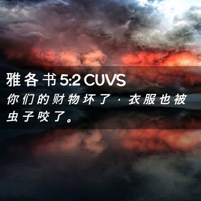 Picture 02 - 雅 各 书 5:2 CUVS - 你 们 的 财 物 坏 了 ， 衣 服 也 被 - Bible Verse Picture