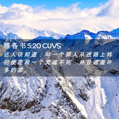 Picture 02 - 雅 各 书 5:20 CUVS - 这 人 该 知 道 ： 叫 一 个 罪 人 从 - Bible Verse Picture
