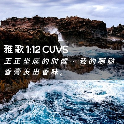 Picture 02 - 雅 歌 1:12 CUVS - 王 正 坐 席 的 时 候 ， 我 的 哪 哒 - Bible Verse Picture