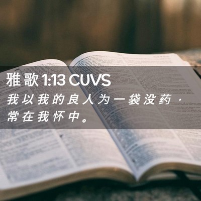 Picture 02 - 雅 歌 1:13 CUVS - 我 以 我 的 良 人 为 一 袋 没 药 ， - Bible Verse Picture