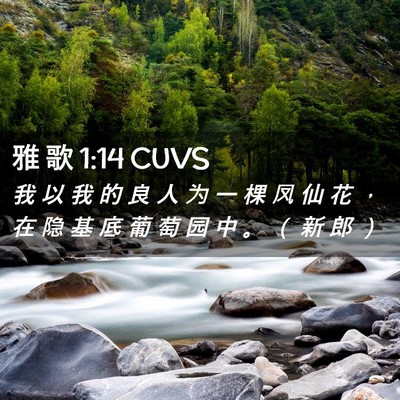Picture 02 - 雅 歌 1:14 CUVS - 我 以 我 的 良 人 为 一 棵 凤 仙 花 - Bible Verse Picture