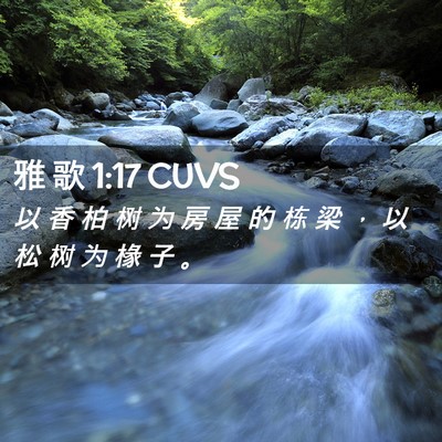 Picture 02 - 雅 歌 1:17 CUVS - 以 香 柏 树 为 房 屋 的 栋 梁 ， 以 - Bible Verse Picture