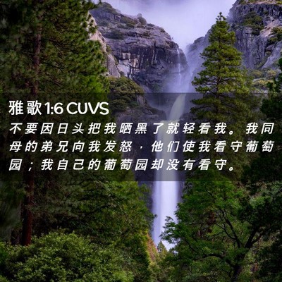Picture 02 - 雅 歌 1:6 CUVS - 不 要 因 日 头 把 我 晒 黑 了 就 轻 - Bible Verse Picture