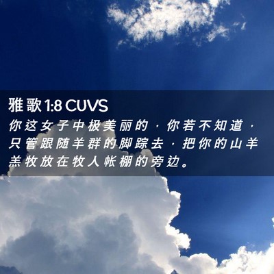 Picture 02 - 雅 歌 1:8 CUVS - 你 这 女 子 中 极 美 丽 的 ， 你 若 - Bible Verse Picture