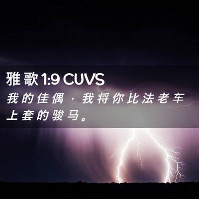 Picture 02 - 雅 歌 1:9 CUVS - 我 的 佳 偶 ， 我 将 你 比 法 老 车 - Bible Verse Picture