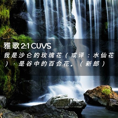 Picture 02 - 雅 歌 2:1 CUVS - 我 是 沙 仑 的 玫 瑰 花 （ 或 译 ： - Bible Verse Picture