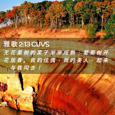 Picture 02 - 雅 歌 2:13 CUVS - 无 花 果 树 的 果 子 渐 渐 成 熟 ； - Bible Verse Picture