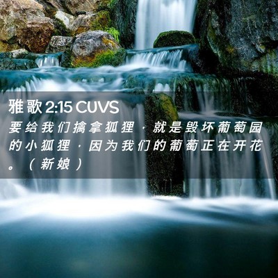 Picture 02 - 雅 歌 2:15 CUVS - 要 给 我 们 擒 拿 狐 狸 ， 就 是 毁 - Bible Verse Picture