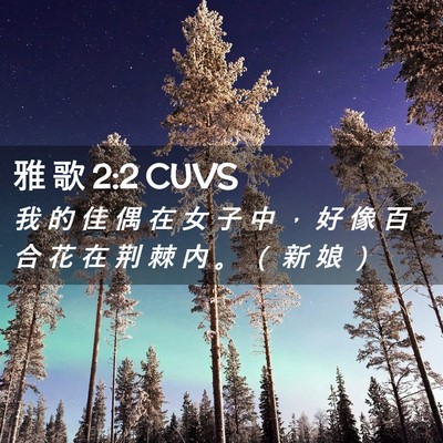 Picture 02 - 雅 歌 2:2 CUVS - 我 的 佳 偶 在 女 子 中 ， 好 像 百 - Bible Verse Picture