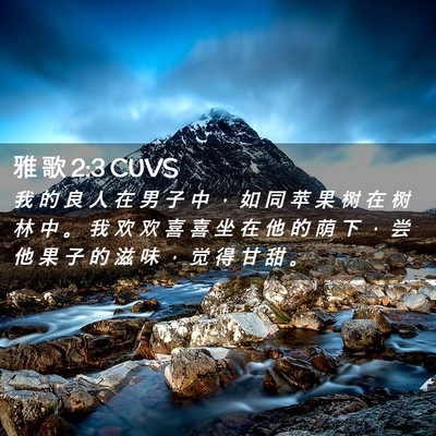 Picture 02 - 雅 歌 2:3 CUVS - 我 的 良 人 在 男 子 中 ， 如 同 苹 - Bible Verse Picture