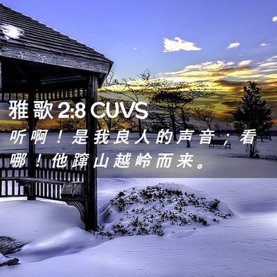 Picture 02 - 雅 歌 2:8 CUVS - 听 啊 ！ 是 我 良 人 的 声 音 ； 看 - Bible Verse Picture