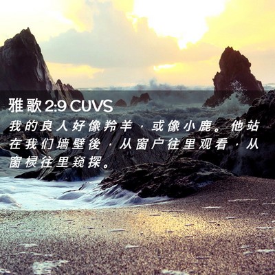 Picture 02 - 雅 歌 2:9 CUVS - 我 的 良 人 好 像 羚 羊 ， 或 像 小 - Bible Verse Picture