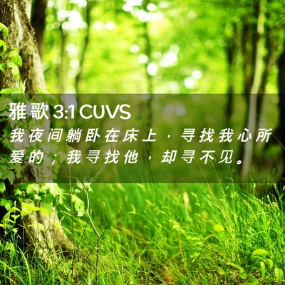 Picture 02 - 雅 歌 3:1 CUVS - 我 夜 间 躺 卧 在 床 上 ， 寻 找 我 - Bible Verse Picture