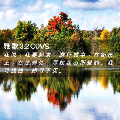 Picture 02 - 雅 歌 3:2 CUVS - 我 说 ： 我 要 起 来 ， 游 行 城 中 - Bible Verse Picture