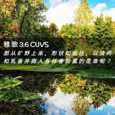 Picture 02 - 雅 歌 3:6 CUVS - 那 从 旷 野 上 来 、 形 状 如 烟 柱 - Bible Verse Picture