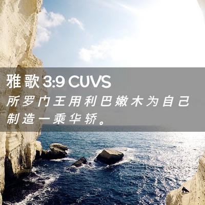 Picture 02 - 雅 歌 3:9 CUVS - 所 罗 门 王 用 利 巴 嫩 木 为 自 己 - Bible Verse Picture