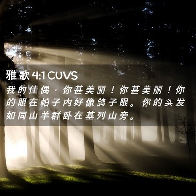 Picture 02 - 雅 歌 4:1 CUVS - 我 的 佳 偶 ， 你 甚 美 丽 ！ 你 甚 - Bible Verse Picture