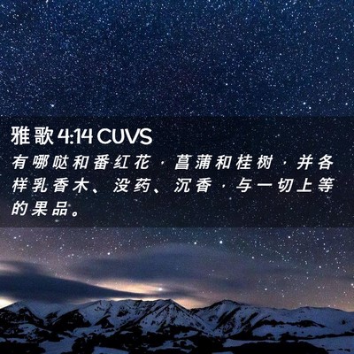 Picture 02 - 雅 歌 4:14 CUVS - 有 哪 哒 和 番 红 花 ， 菖 蒲 和 桂 - Bible Verse Picture
