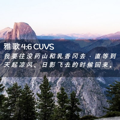 Picture 02 - 雅 歌 4:6 CUVS - 我 要 往 没 药 山 和 乳 香 冈 去 ， - Bible Verse Picture